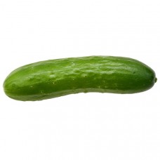 Cucumber Mini